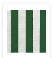 Neoprene Cover – Green Stripes (COSNC-100-STRGreen)